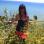 maminette02042011