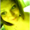 jenny79600