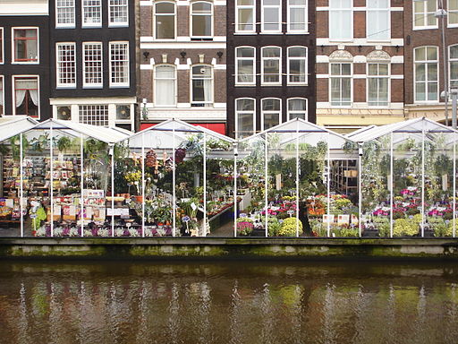 amsterdam marche aux fleurs